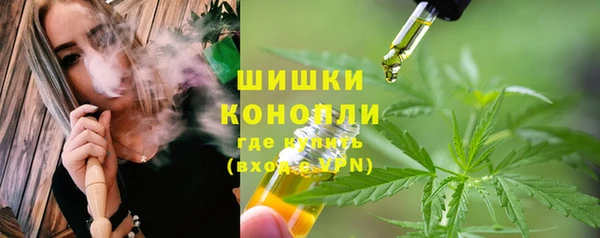 прущие крисы Ельня