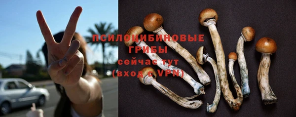 амф Елизово