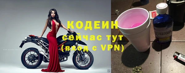 прущие крисы Ельня