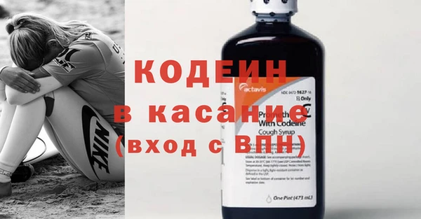 прущие крисы Ельня
