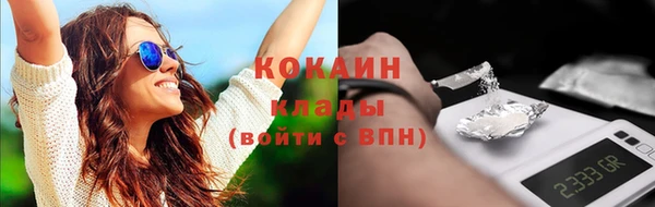 амф Елизово