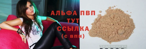 прущие крисы Ельня