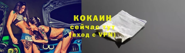 прущие крисы Ельня