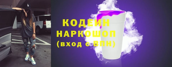 амф Елизово