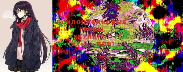 прущие крисы Ельня